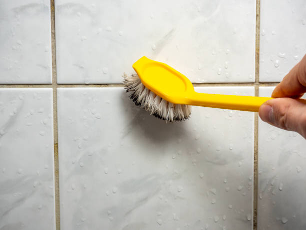 Best Mold Removal Company Near Me  in Baldwin Park, CA