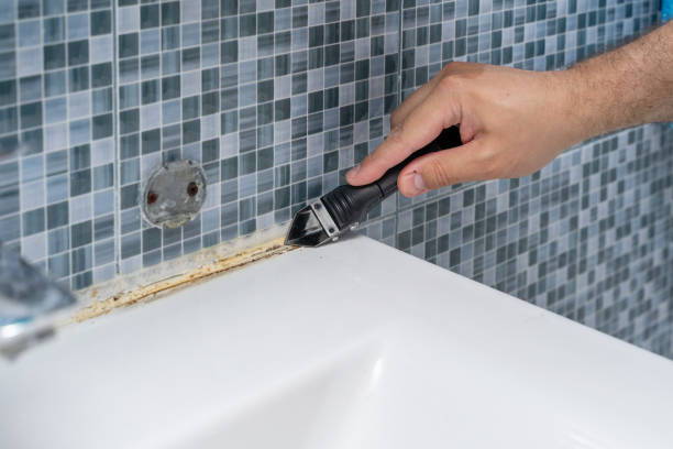 Best Attic Mold Removal  in Baldwin Park, CA