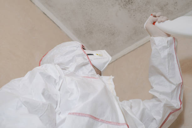 Best Fast Mold Removal  in Baldwin Park, CA