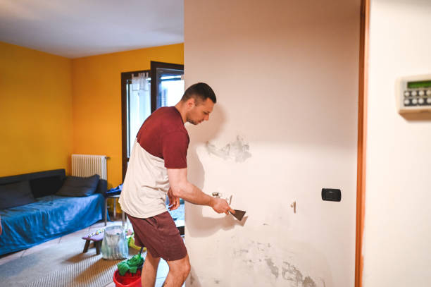 Home Mold Removal in Baldwin Park, CA